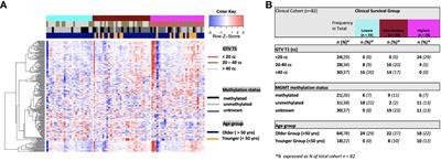 Corrigendum: Glioblastoma survival is associated with distinct proteomic alteration signatures post chemoirradiation in a large-scale proteomic panel